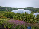england07 eden project