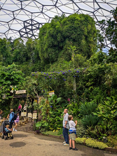 england07 eden project england07 eden project