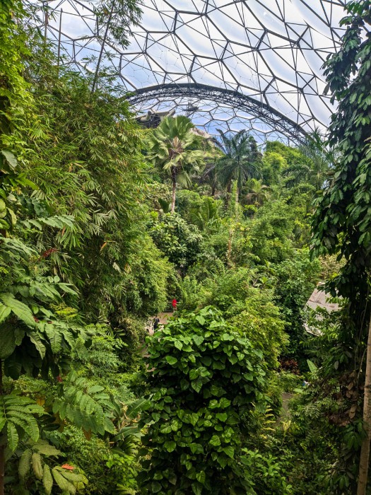 england07 eden project england07 eden project